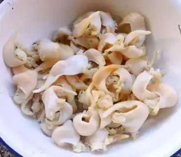 Make Scrambling step 5