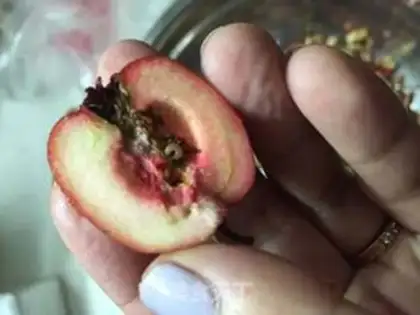 Make Old Beijing red fruit step 1