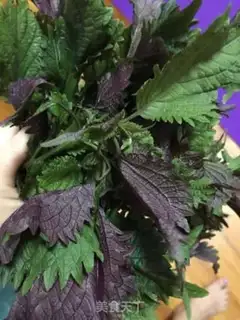 Make Purple cucumber step 3