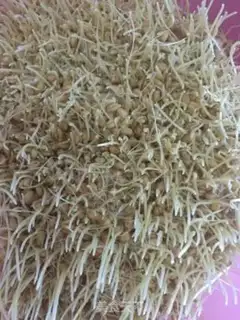 Make Malt sugar step 1