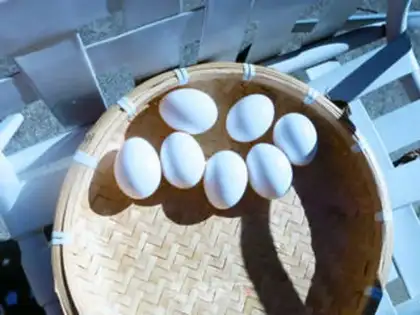 Make Family pickles step 1