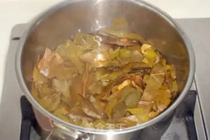 Make Haoye Mountain tea step 1