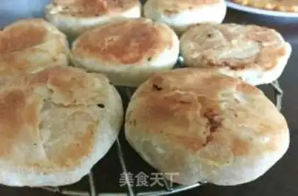 Make Onion fire step 17