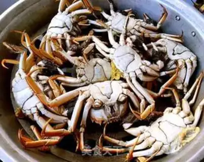 Make Steam crabs step 6