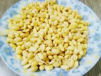Make Sprouts step 0