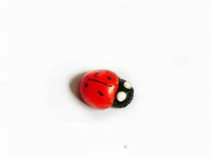 Make Seven-star ladybugs step 3