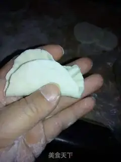 Make Pork dumplings step 4