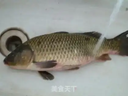 Make step 0