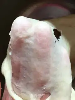 Make Peacock step 1