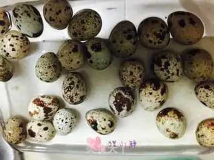Make Five quail eggs step 0