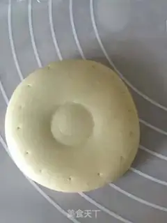 Make Peacock step 24
