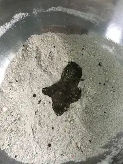 Make No colored macaroni step 6