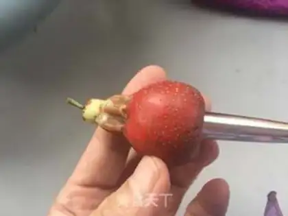 Make Snowballs of red nuts step 1