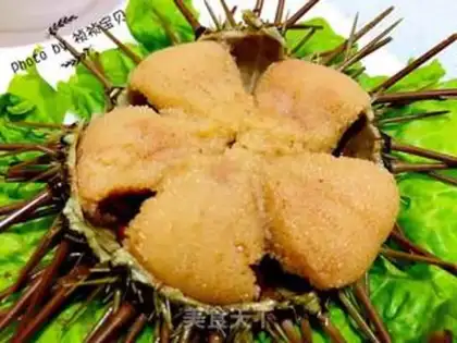 Make A urchin step 8