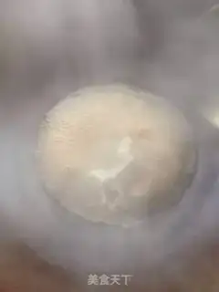 Make Squidfish step 16