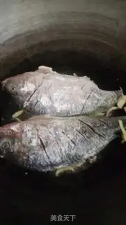 Make Plumfish step 1