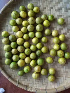 Make Pickle lemon step 1