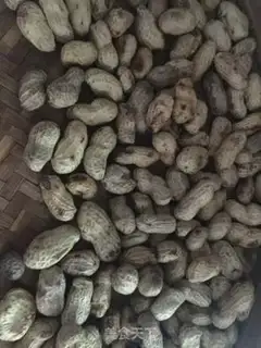 Make Five peanuts step 4