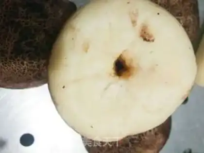Make Simulation of mushroom packs step 7