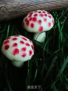 Make Simulation of mushroom packs step 11