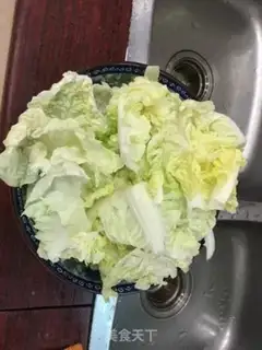 Make Cabbage fan step 0