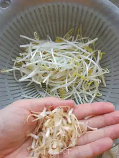 Make ♪ Sodium bud ♪ step 0