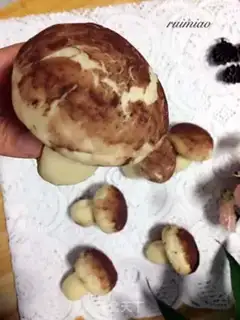 Make Milky mushroom bread step 12