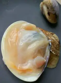Make Oil parchment step 1