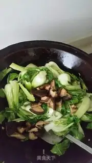 Make Mushroom oil step 5