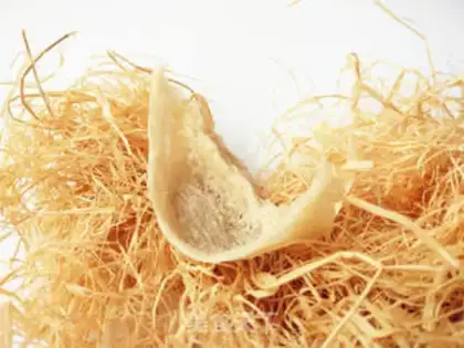 Make Goldmelon swallows step 0