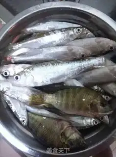 Make Precious whitefish step 1