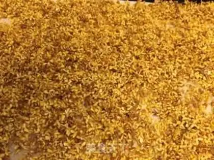 Make Cinnamon step 2