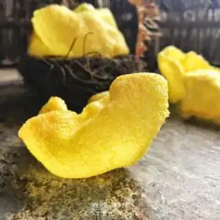 Make We all love shrimp step 5