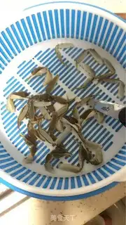 Make - Crabs step 0
