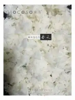 Make Spring of rice left step 0