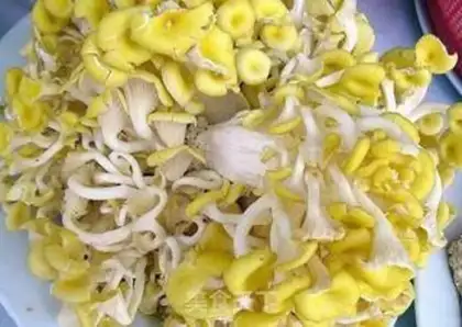 Make Yellow dumplings step 0
