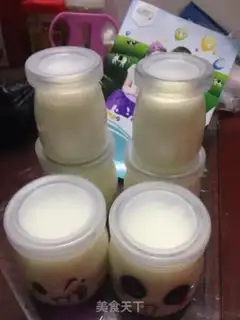 Make Homemade yogurt step 5