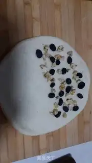 Make The yeast black gallon pecan scon step 5