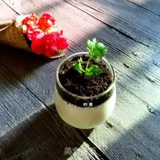 Make Yogurt Olio step 2