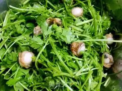 Make Pearl bellies with celery step 9