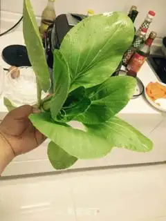 Make A green eggcake step 0