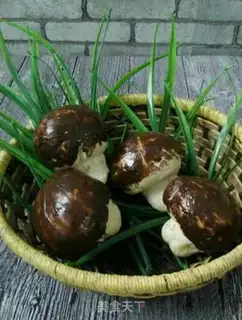 Make Simulate mushroom bread step 13