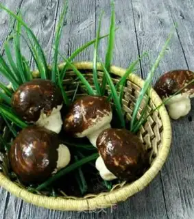 Make Simulate mushroom bread step 14