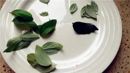 Make Chocolate leaves cake step 16