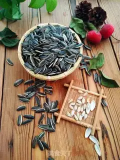 Make Kumbo