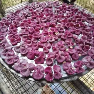 Make Red flamingo butterflies step 7