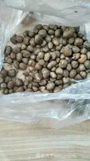 Make Mini sugar step 0