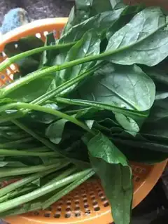 Make Pineapple step 0