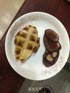 Make Cowboy tortoise step 0
