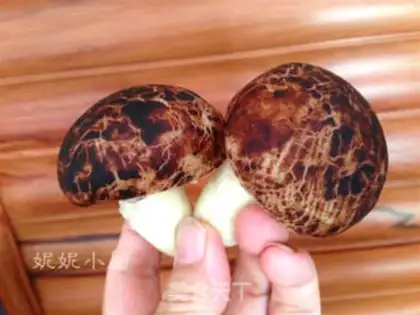 Make Simulation of mushroom packs step 11